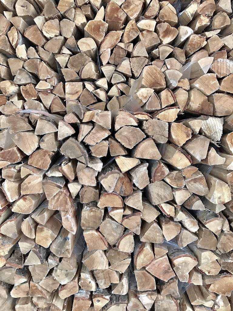 Firewood  by dakotakid35