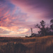 Sunset in the country  by nicolecampbell