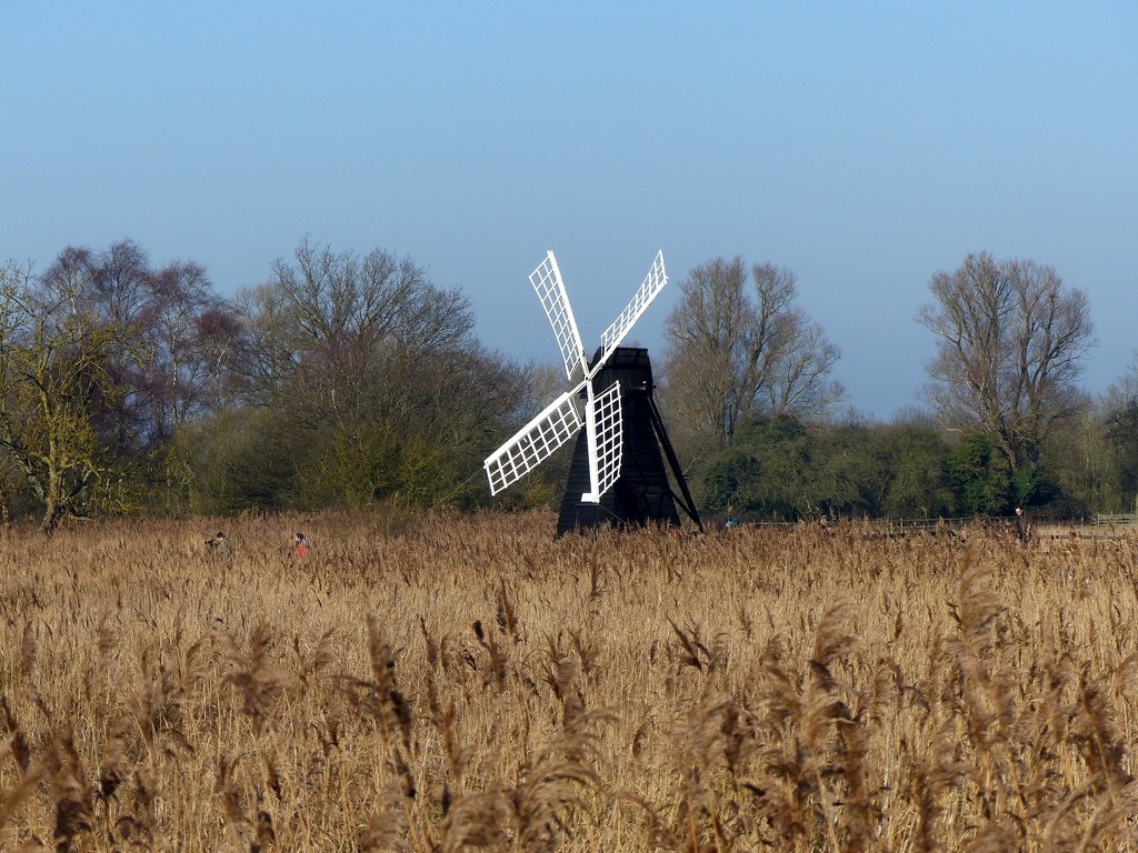 Wicken Fen Windmill  by foxes37