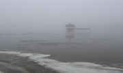 21st Jan 2017 - fog