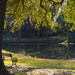 Quiet place to sit by the lake by congaree