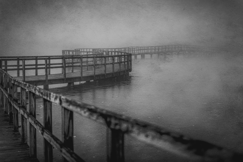 real fog, moodiness edit by jackies365