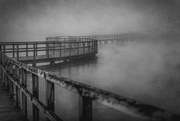 22nd Jan 2017 - real fog, moodiness edit