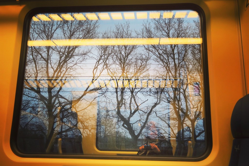 Through the train window  by halkia