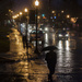 Night walking in the rain by ggshearron