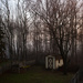 Foggy Dawn by sarahsthreads