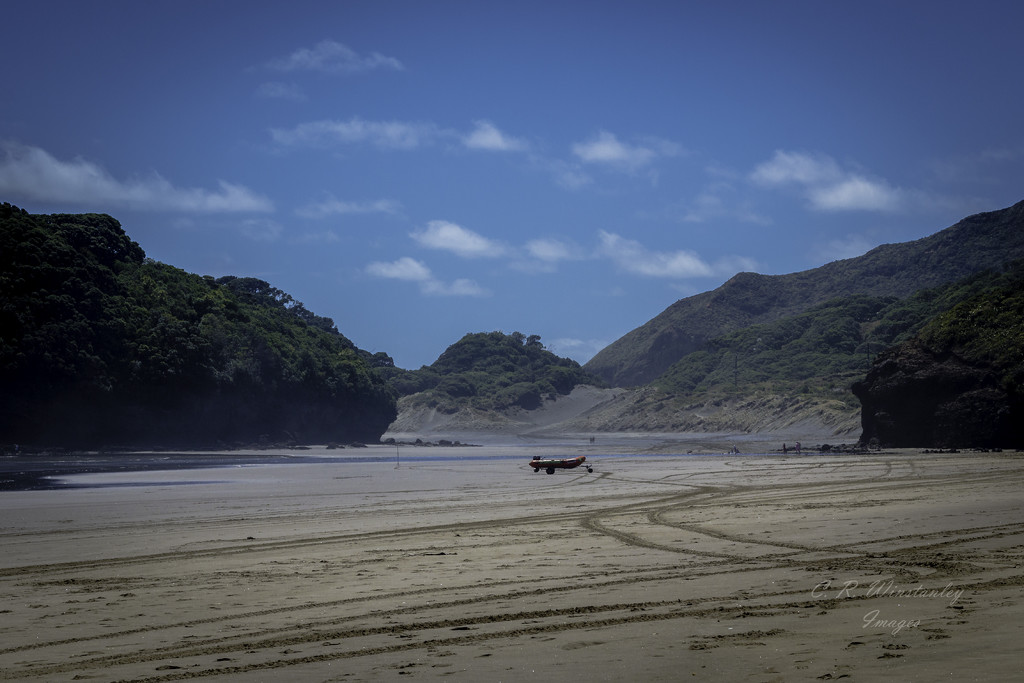 Day 23 Lone Dingy (Bethells beach) by kipper1951