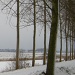 Winter landscape with ditch and dyke by pyrrhula