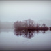 Foggy Morning (best viewed on black) by carolmw