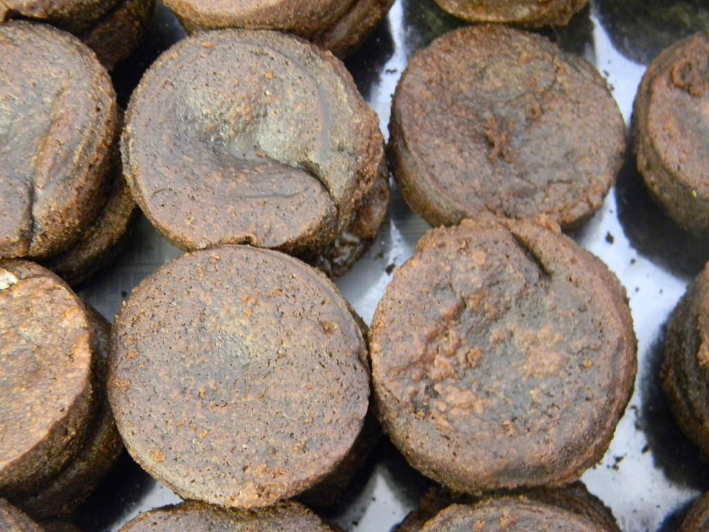 Closeup of Brownies by sfeldphotos