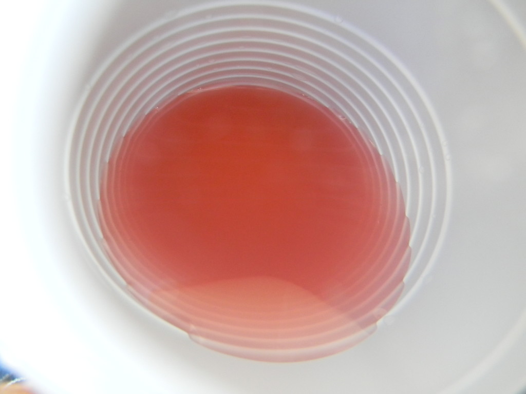 Cup of Strawberry Drink Closeup by sfeldphotos