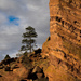 Lone Tree on Red Rocks by khrunner