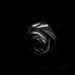 the darkest rose by graemestevens