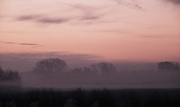 26th Jan 2017 - Dawn landscape