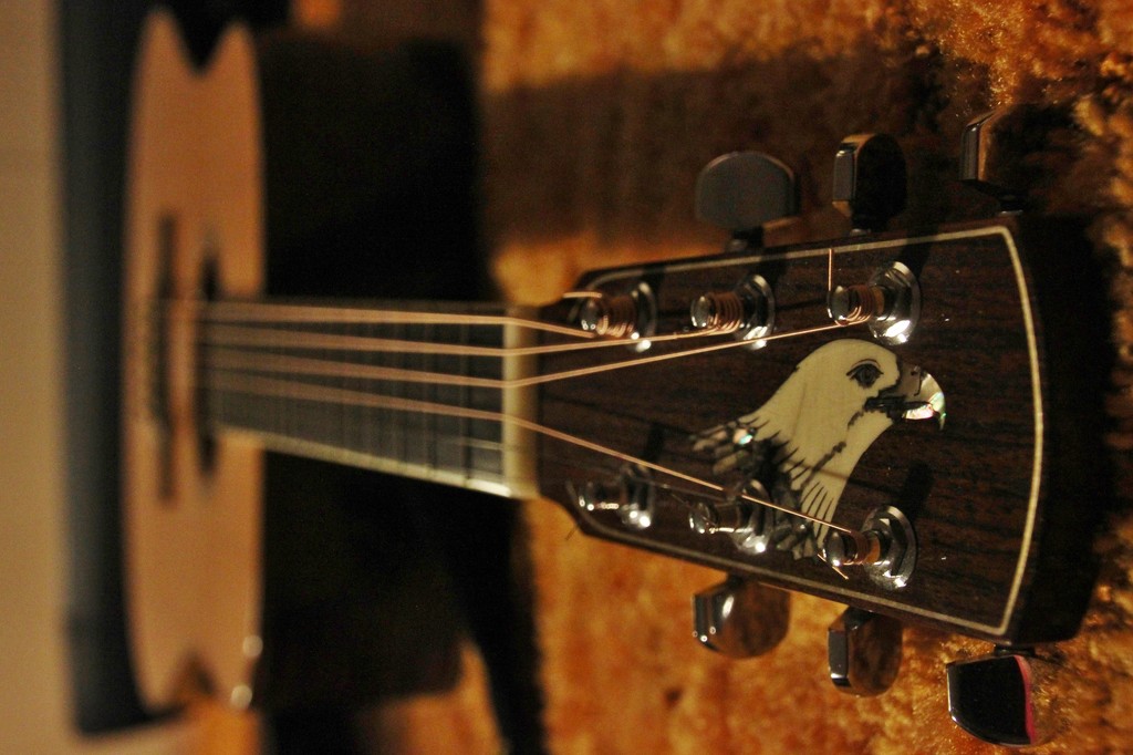 Husband's Larrivee Guitar by bjchipman