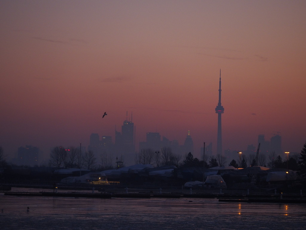 Misty City Skyline by selkie