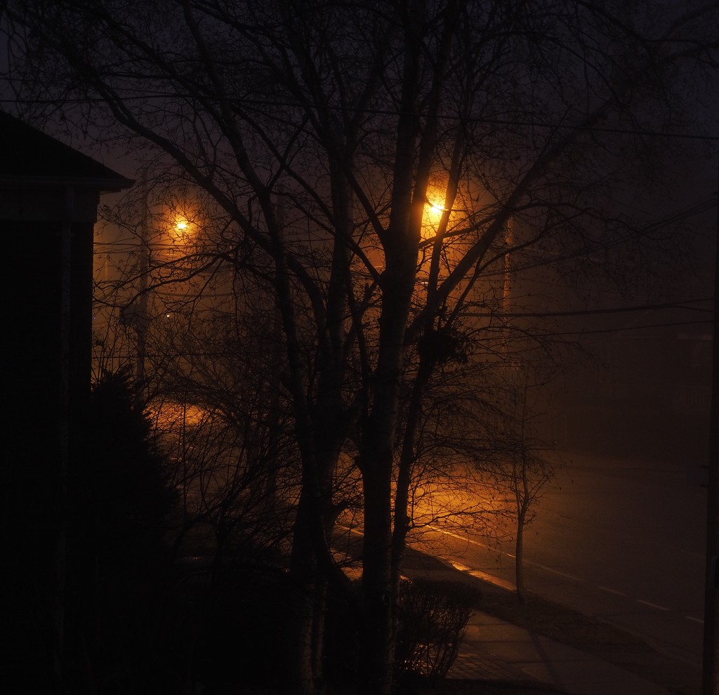 Streetlights in the Foggy Morning by selkie