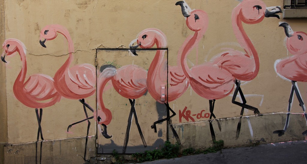 Flamingo Friday for Louise by jamibann