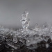 Ice Crystals by mattjcuk