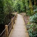 Another garden path by swillinbillyflynn
