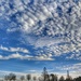 Blue sky clouds by scottmurr