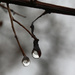 droplets by ingrid01