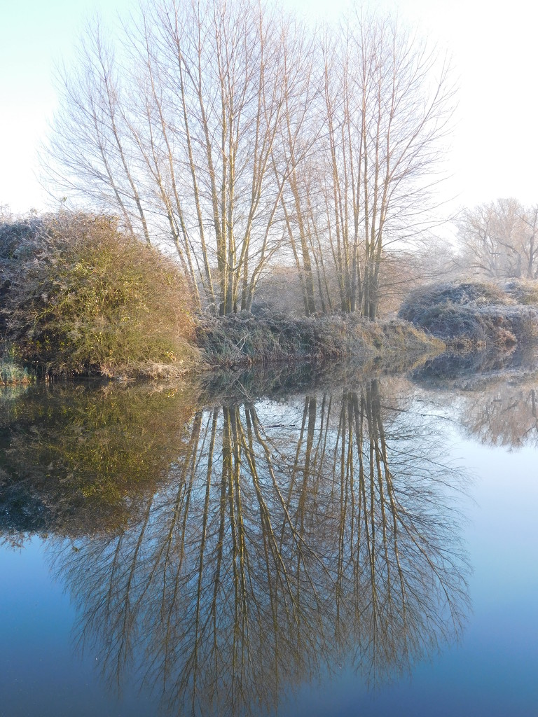 Frosty reflections by 365anne