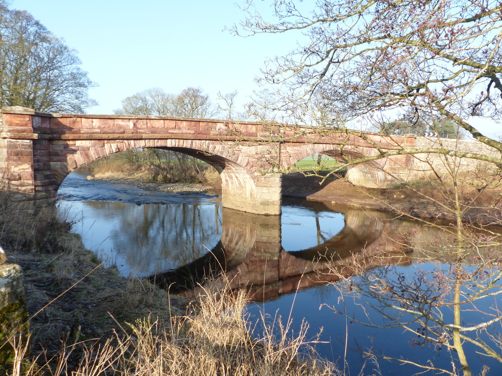 Bridge over the river Eden by shirleybankfarm
