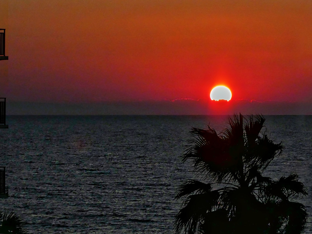 Florida Sunset by gardencat