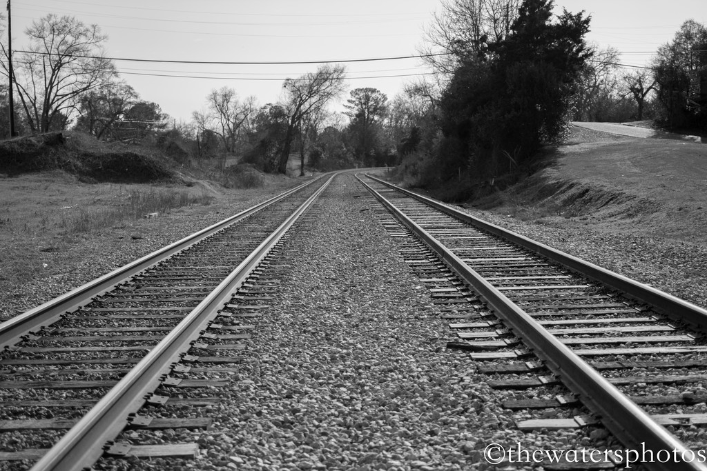 Tracks by thewatersphotos