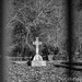Pioneer Cemetery by thewatersphotos