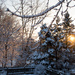 Snowy Sunrise by sarahsthreads