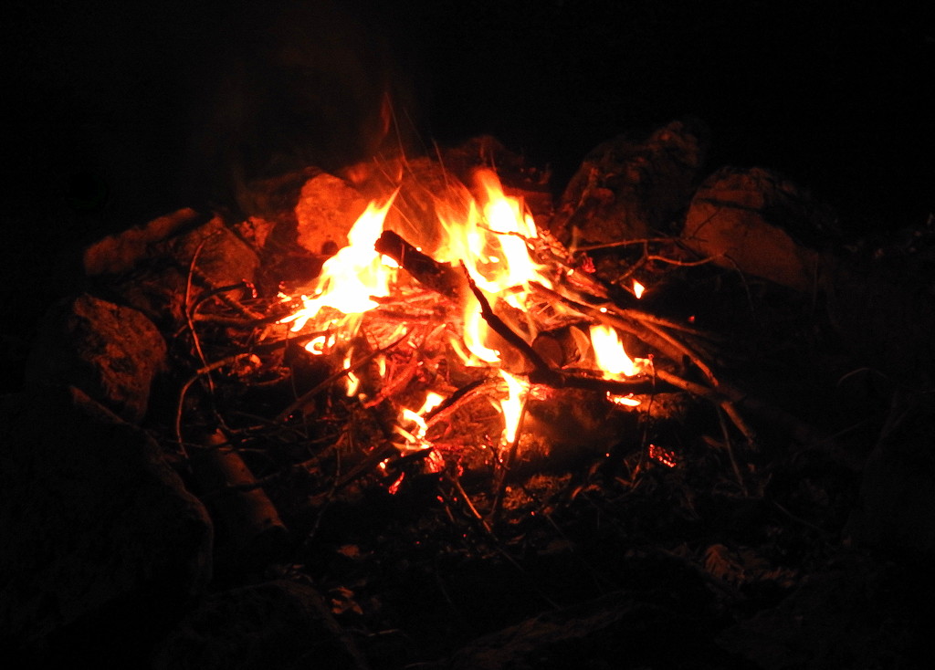 Boy Scouts love campfires by homeschoolmom