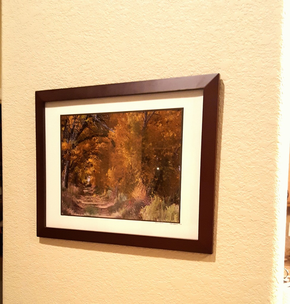 A friend's photo on my wall by carrieoakey