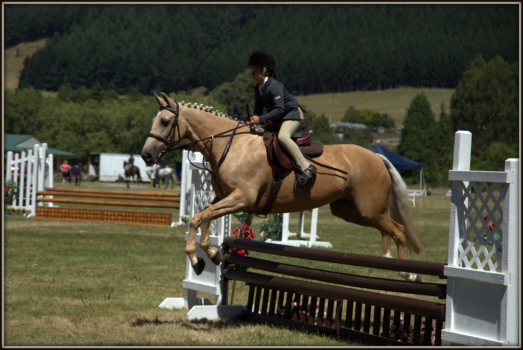 Showjumping by dide