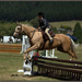 Showjumping by dide