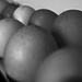 eggs by ianmetcalfe