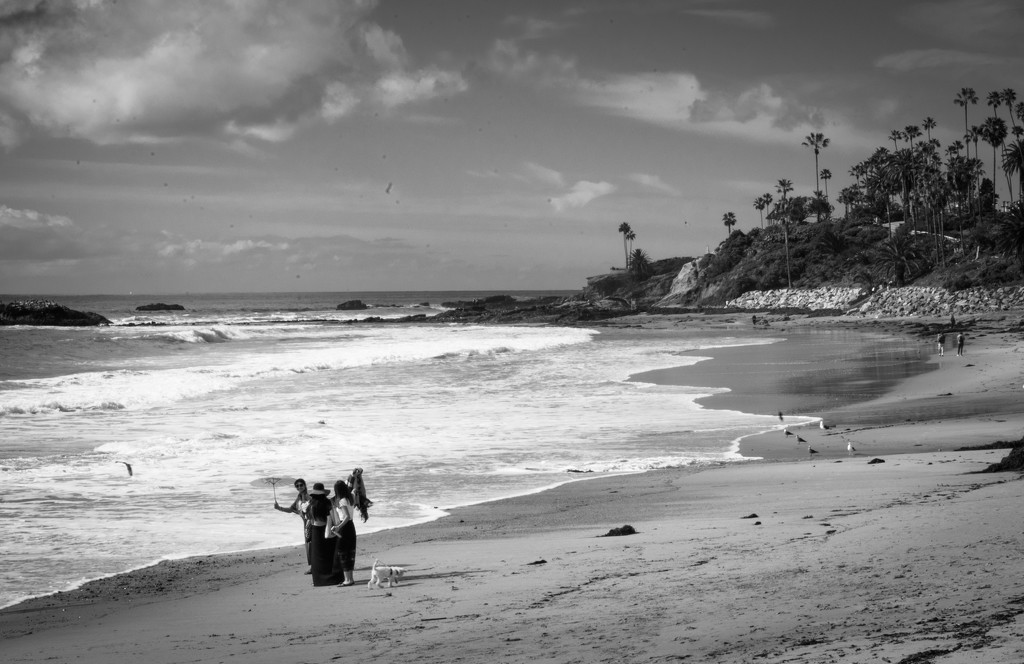 Laguna Beach Black and White by stray_shooter