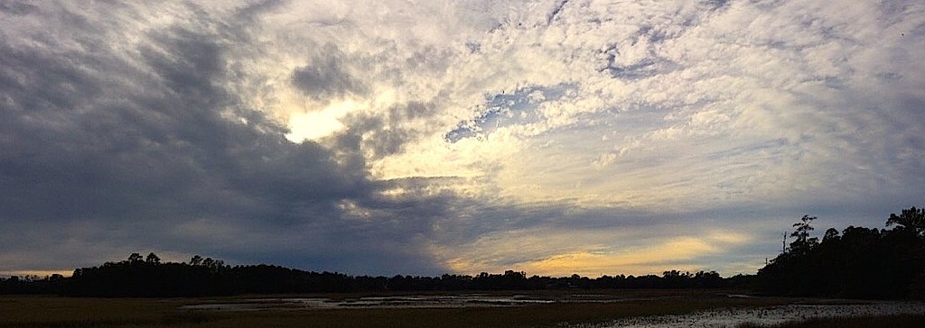 Marsh and sky, Charleston, SC by congaree