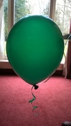 30th Jan 2017 - My own hot air balloon 