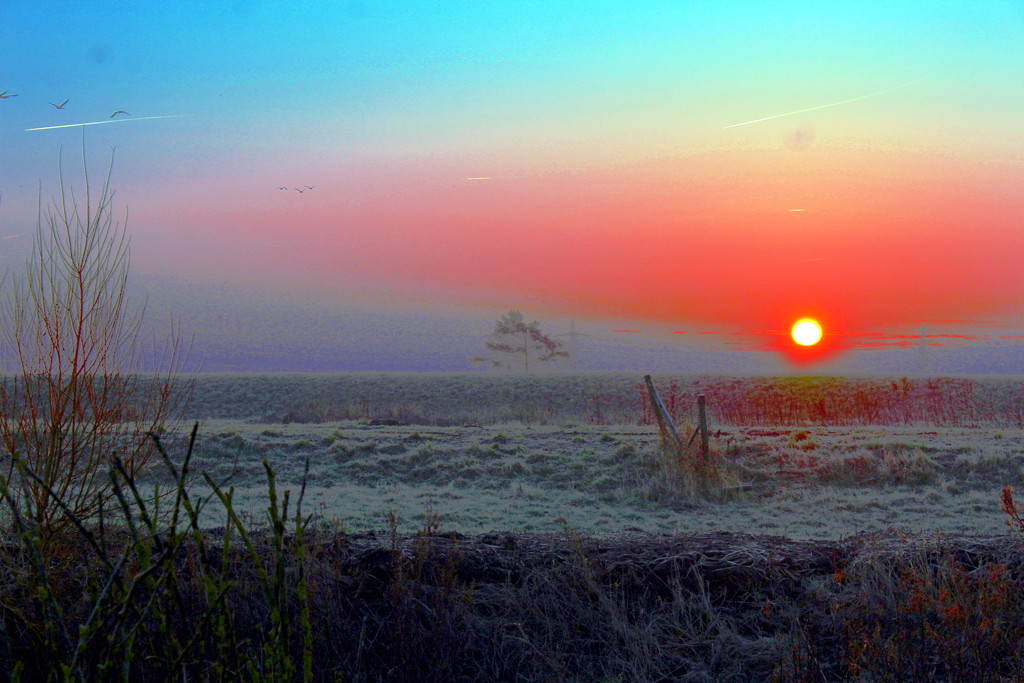 Frosty sunrise at Welney Wetland Centre by jeff