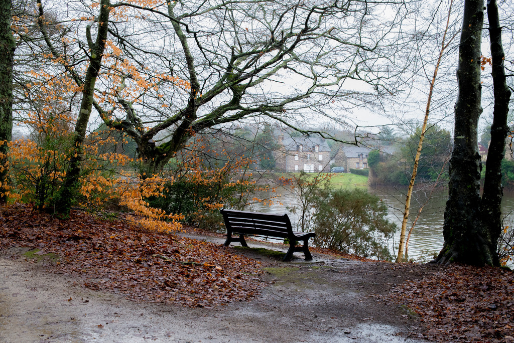 PLAY January - Nikon 50mm f/1.4G: Bench with a View by vignouse