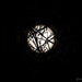 Moon Through Branches  by epcello