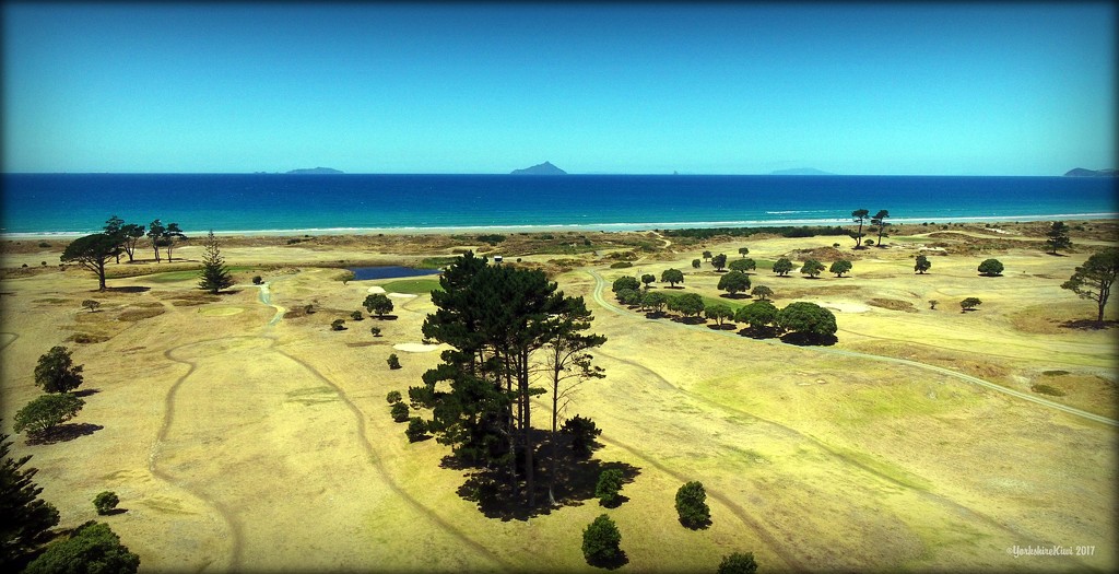 Waipu Golf Course by yorkshirekiwi