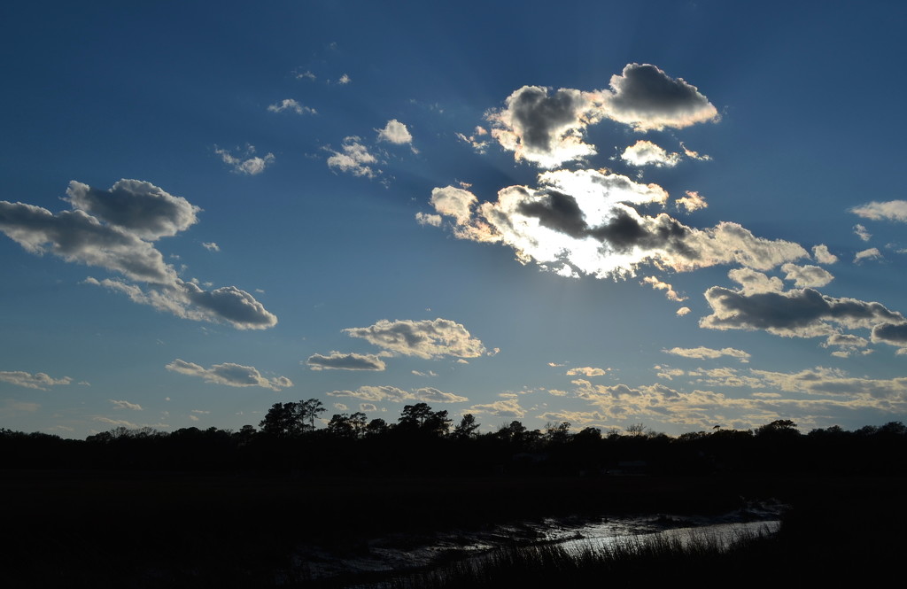 Clouds and marsh by congaree