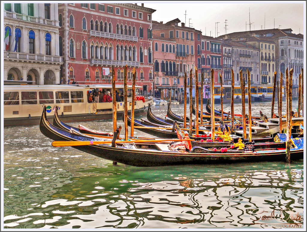 Gondolas And The Grand Canal, Venice by carolmw