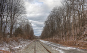 31st Jan 2017 - Railroad tracks