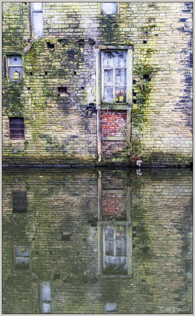 Reflection of Decay by pcoulson