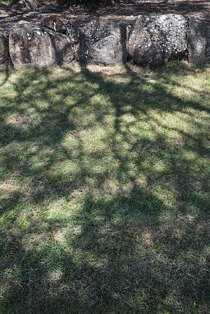 Shadows on the grass by jeneurell