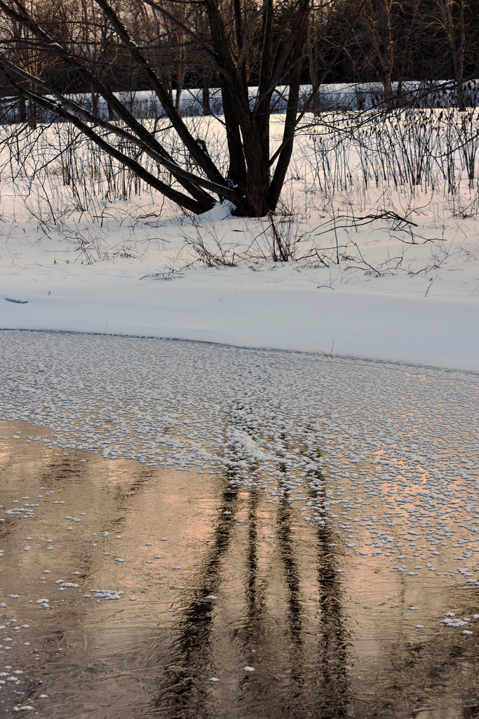 Icy Reflection  by farmreporter
